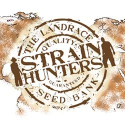 Strain Hunters Seed Bank Strain Hunters Seed Bank